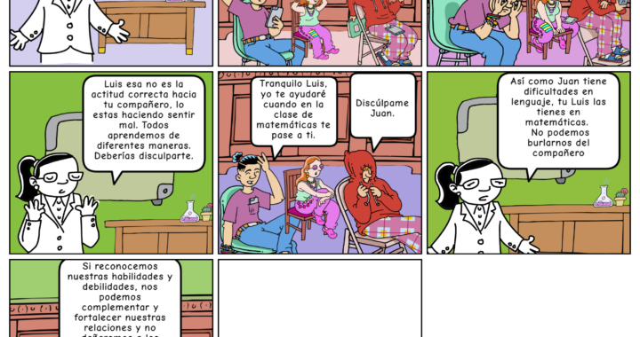 DESARROLLO SOCIOAFECTIVO Y MORAL